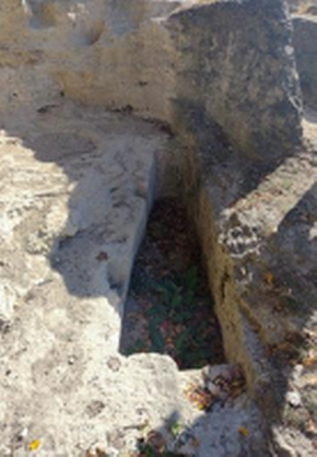 'Albotina – Necropolă Regală' de Dr. Ivo Gheorghiev