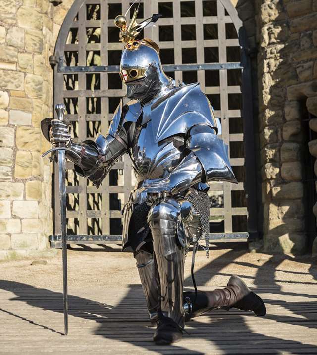 Contact - Echipa editorială a Cavalerului Danubian