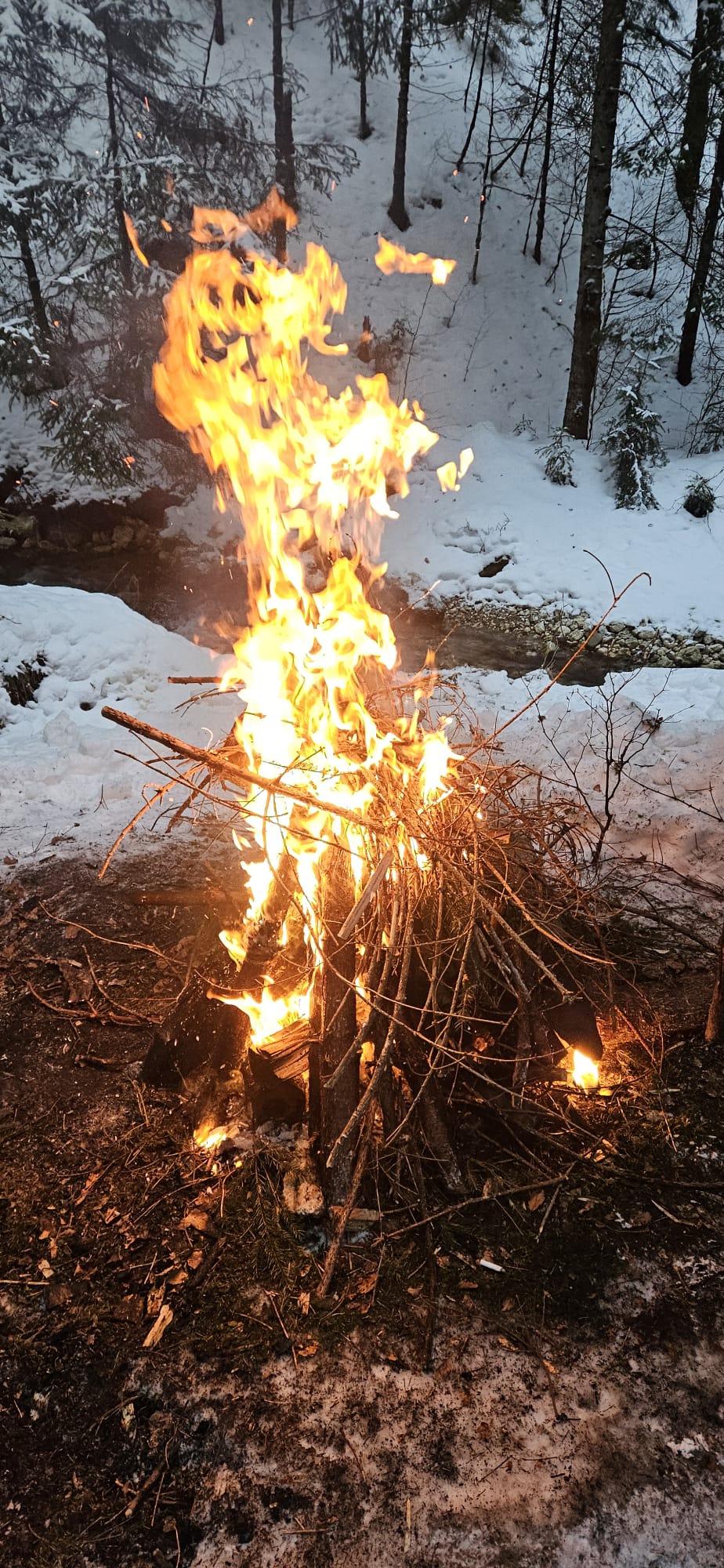 'Testul de Iarnă în Poiana Magică' de Mihai Cosca