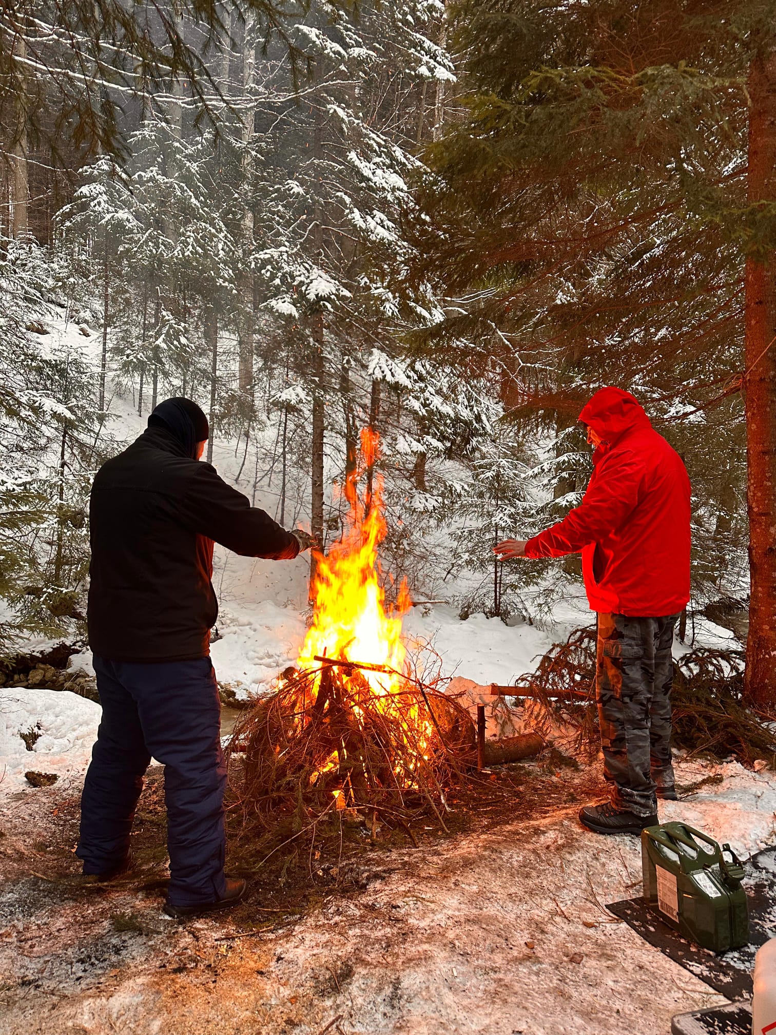 'Testul de Iarnă în Poiana Magică' de Mihai Cosca