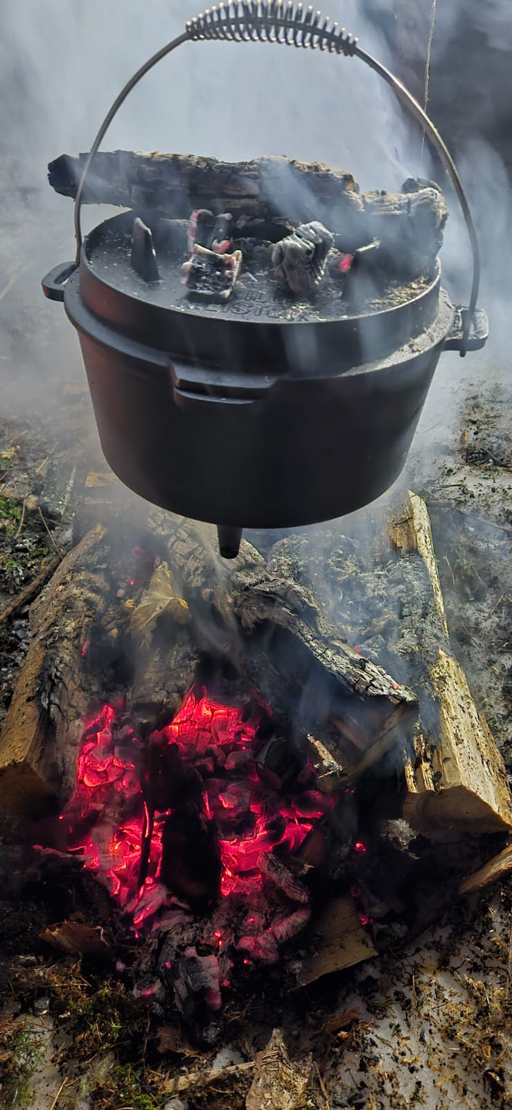 'Testul de Iarnă în Poiana Magică' de Mihai Cosca