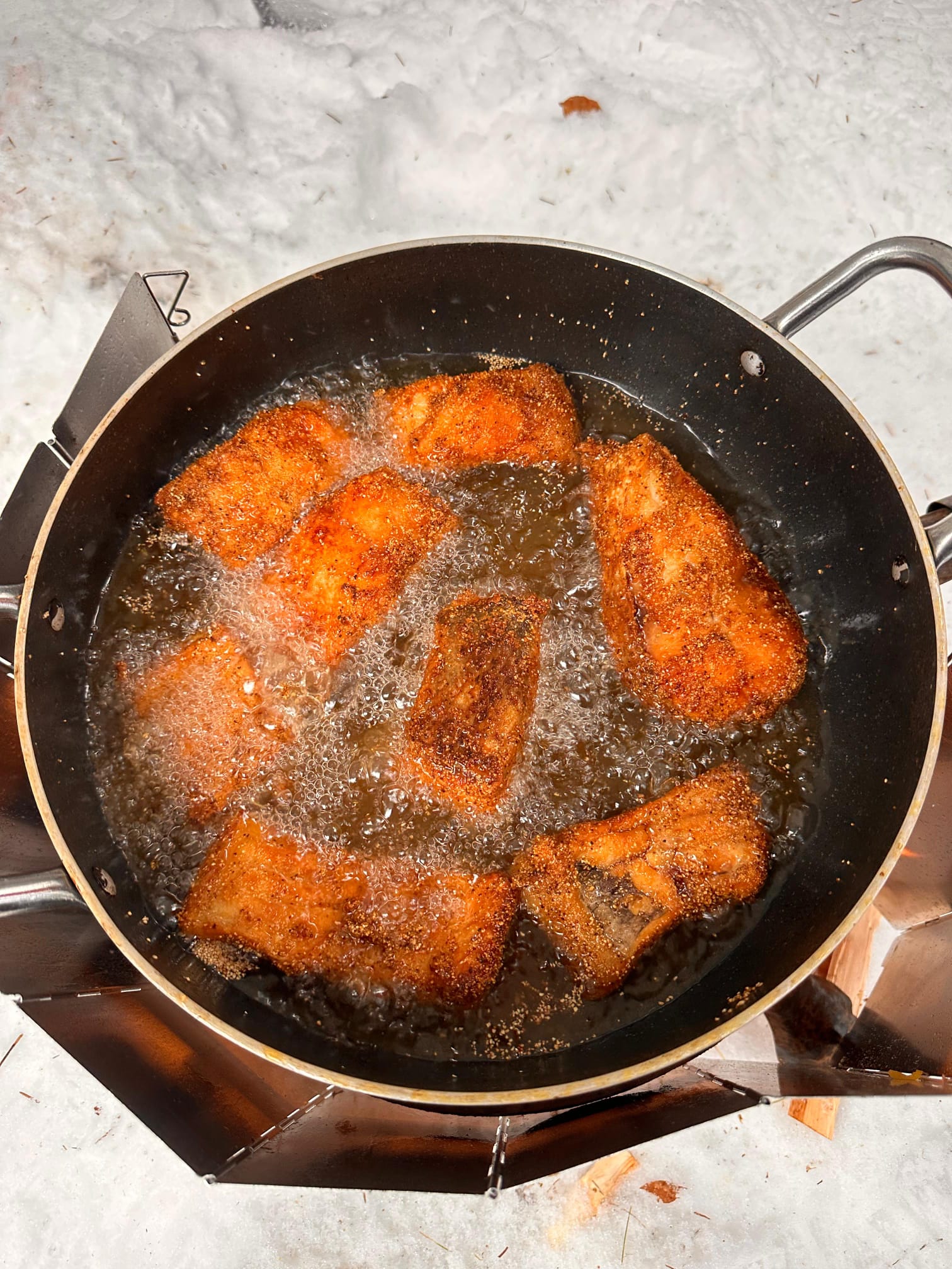 'Testul de Iarnă în Poiana Magică' de Mihai Cosca