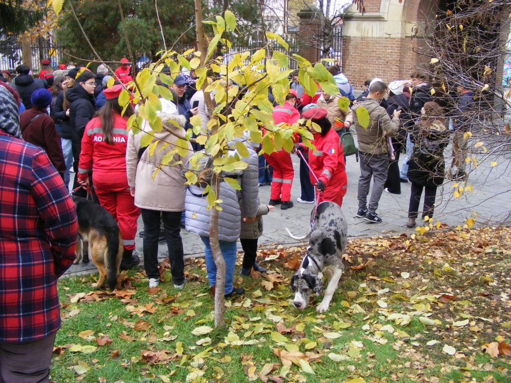 1 Decembrie 2025 la Craiova