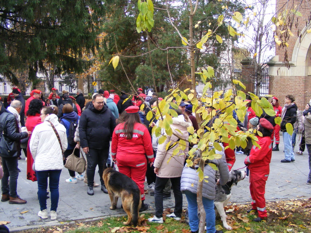 1 Decembrie 2025 la Craiova