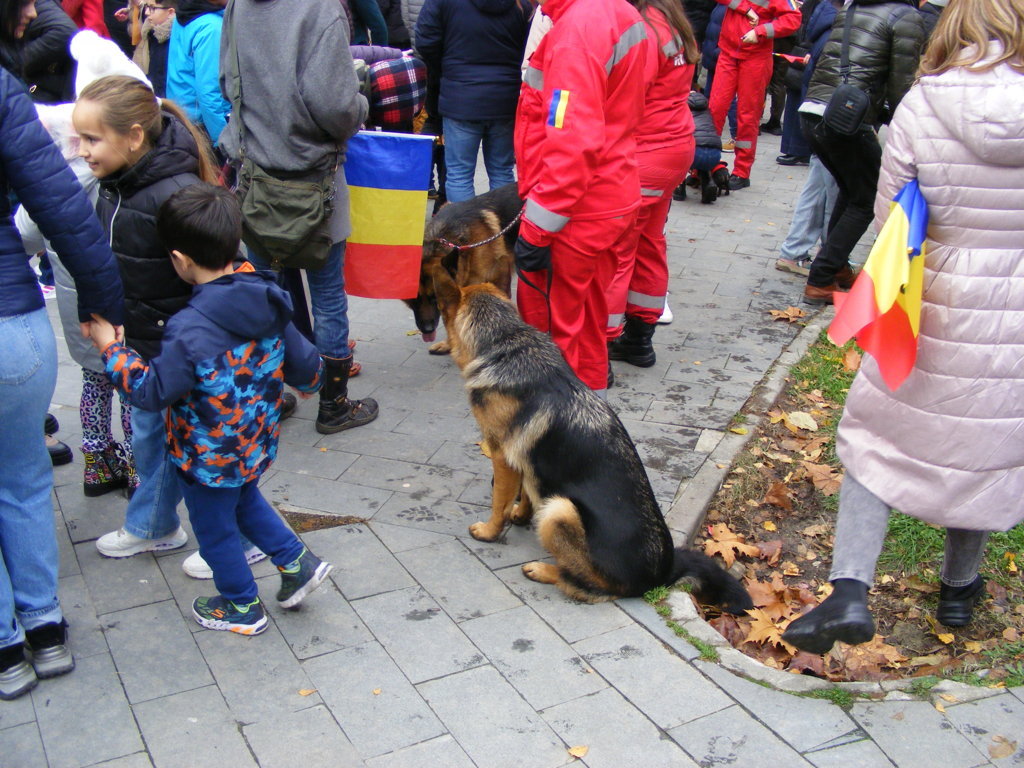 1 Decembrie 2025 la Craiova