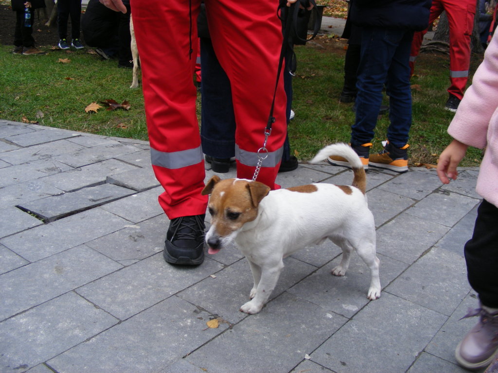 1 Decembrie 2025 la Craiova