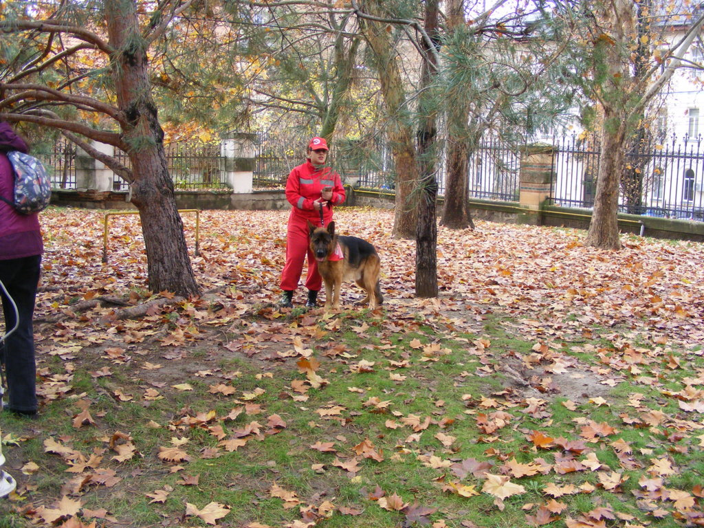 1 Decembrie 2025 la Craiova