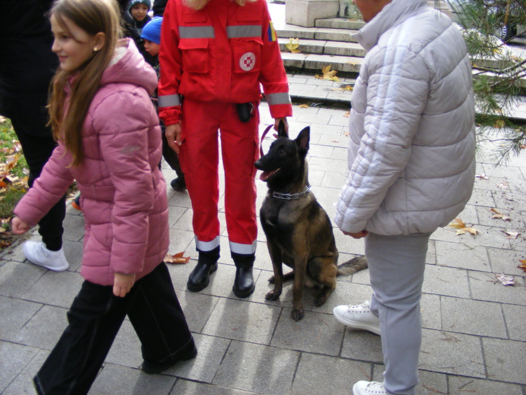 1 Decembrie 2025 la Craiova